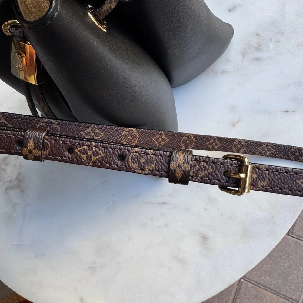Louis Vuitton Bloom PM Bucket Bag